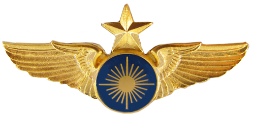 StanWing.Com - Insignia of the U.S.A.