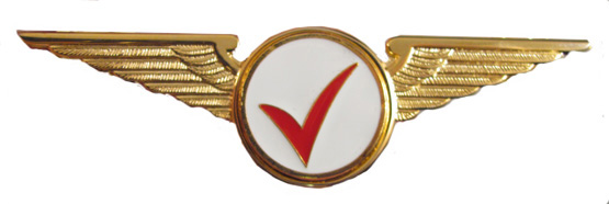StanWing.Com - Insignia of the U.S.A.